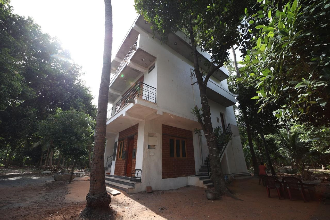 The farmhouse seen through tall trees, with outdoor chairs in the shade
